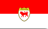 Historyczna flaga Dolnych Luzyc: 2 pasy poziome - czerwony i bialy: na nich historyczny herb - na bialym tle czerwony byk